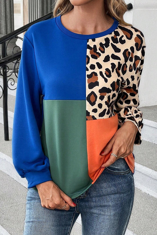 Color Block Round Neck Long Sleeve Sweatshirt